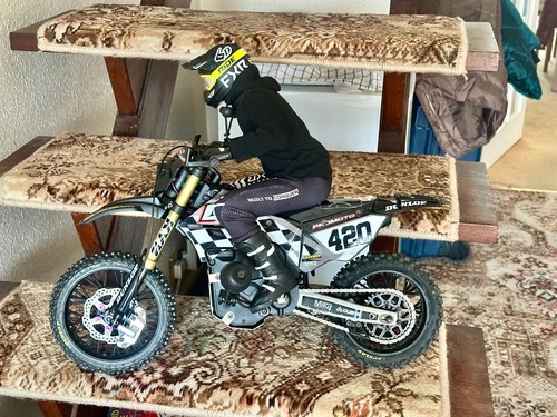 Losi promoto bike - losi,